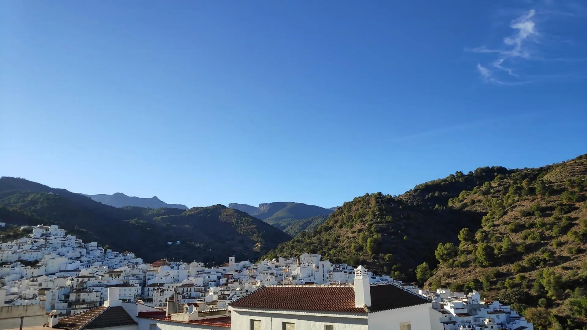 Apartamento El Almencino 톨록스
